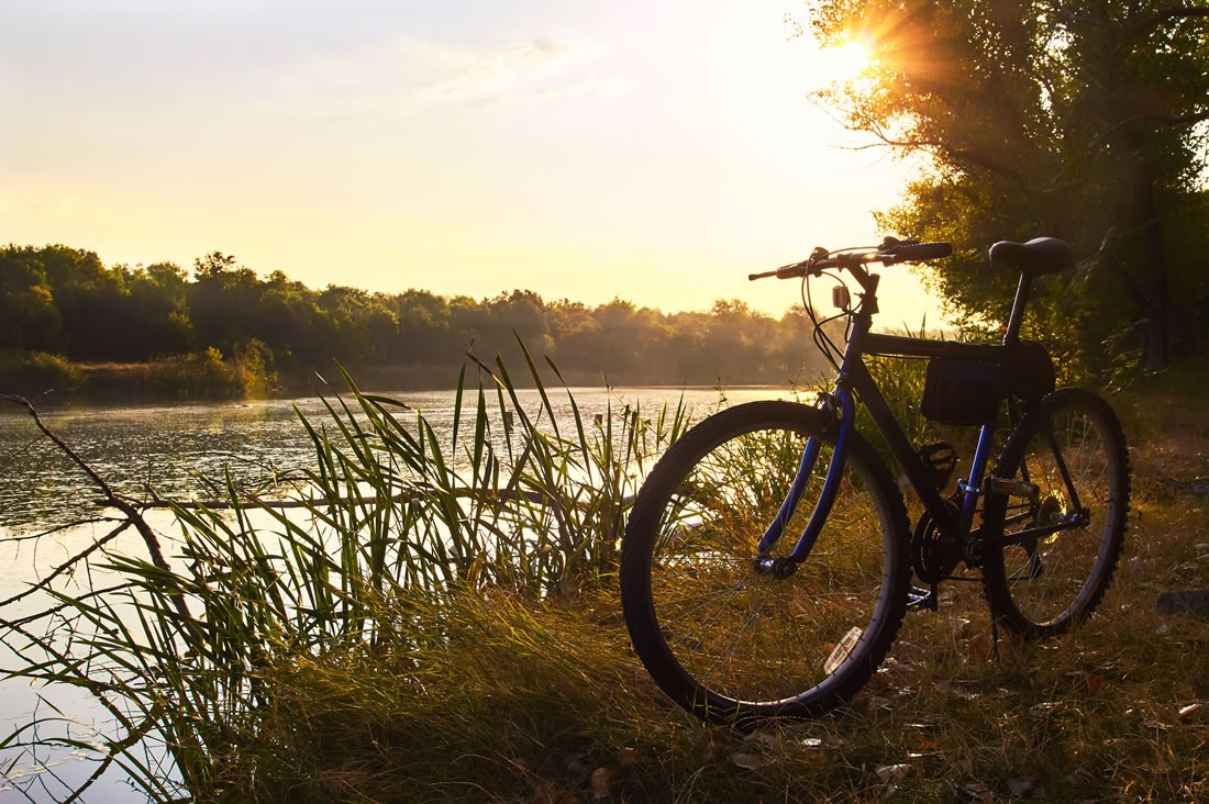 Genußradeln am Ennsradweg © Shutterstock