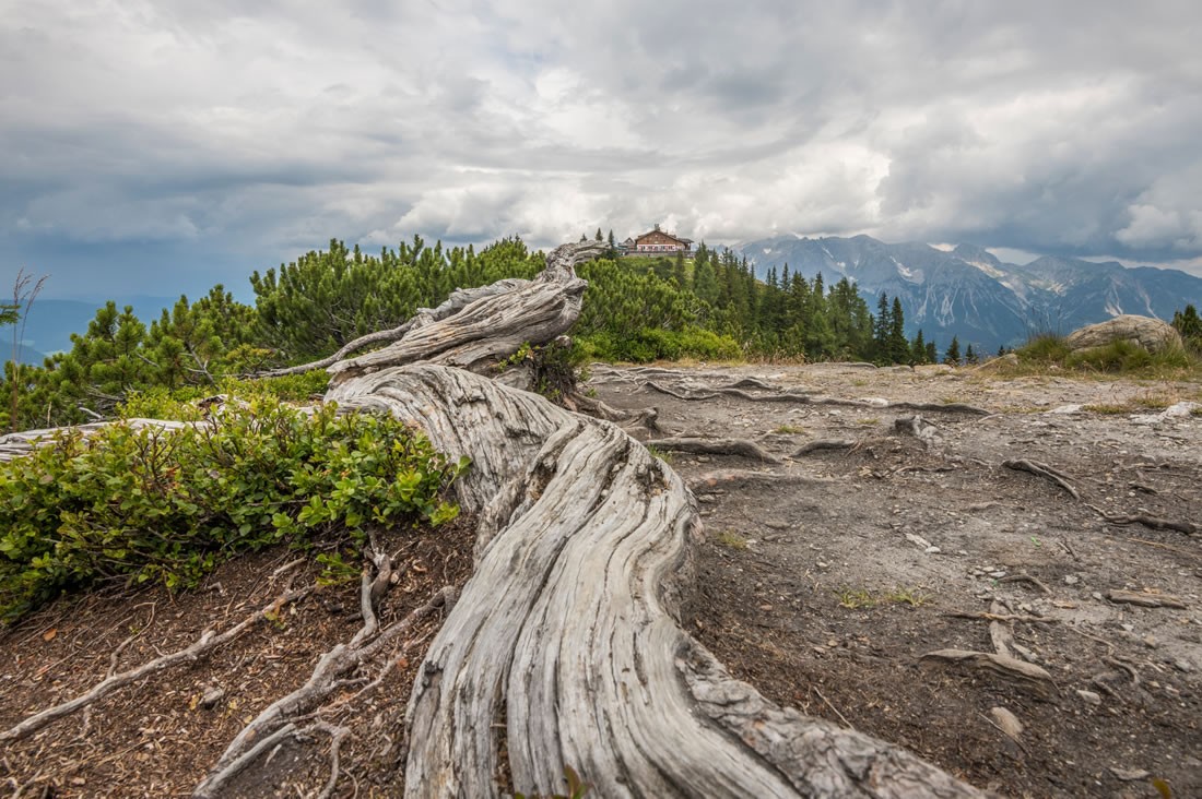 Hochwurzen - Rundwanderweg © Shutterstock
