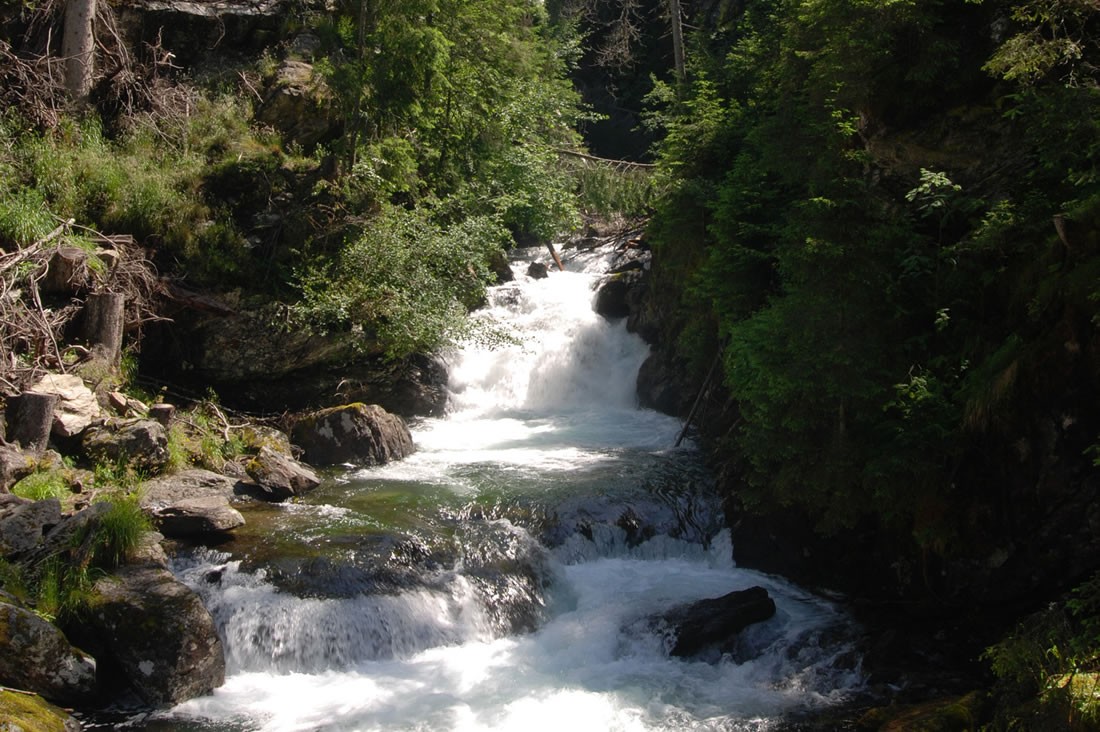 Hängebrücke Wilde Wasser © Shutterstock